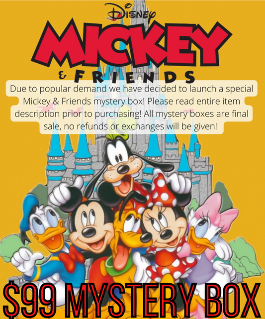 Mickey & Friends Mystery Box