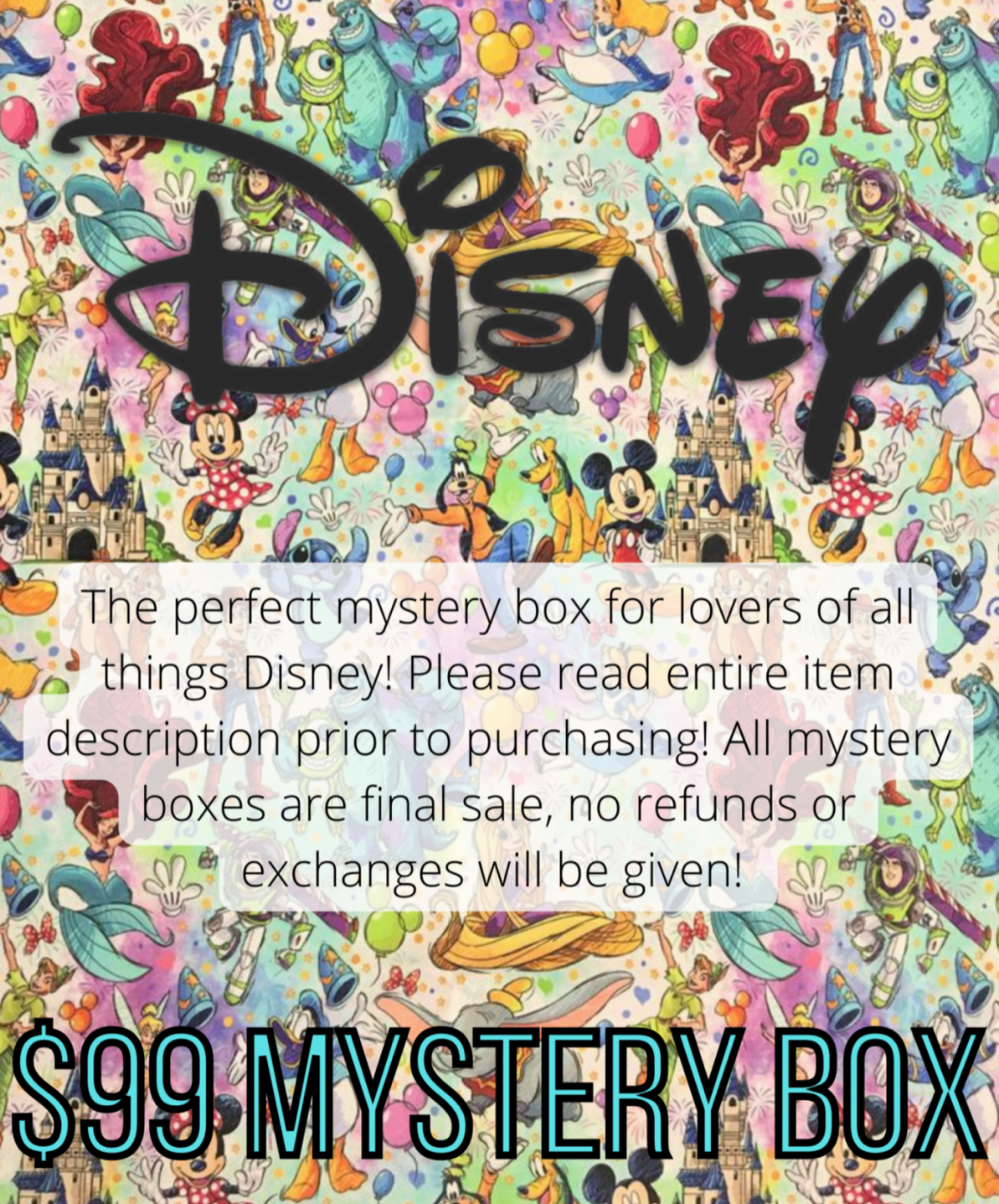 Disney Mystery Box