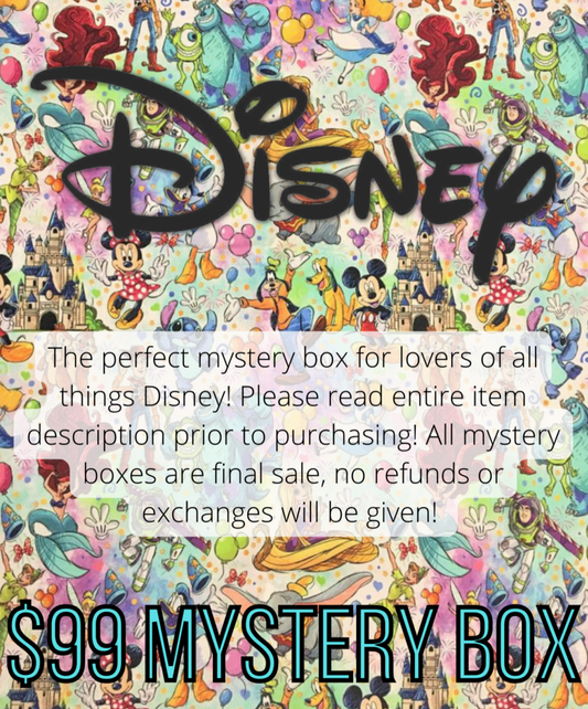 Disney Mystery Box